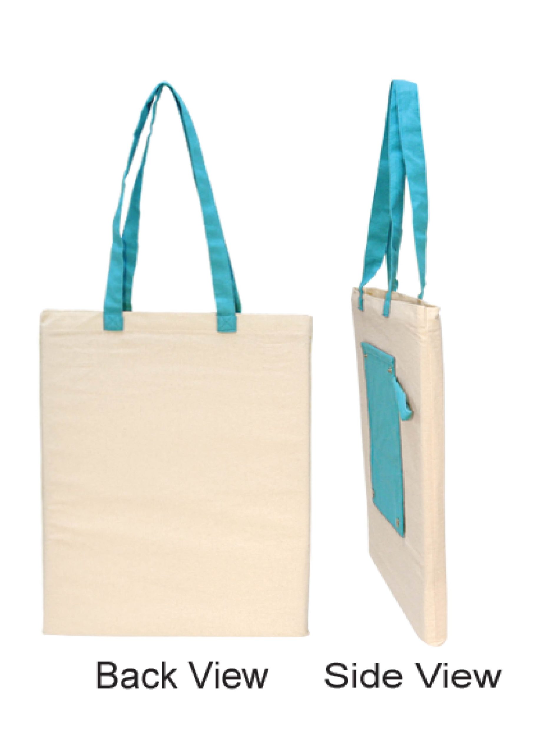 CAN333-BACK-SIDE-scaled