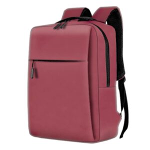 Laptop Back Pack(Fully Padded Bag) (LT3168)