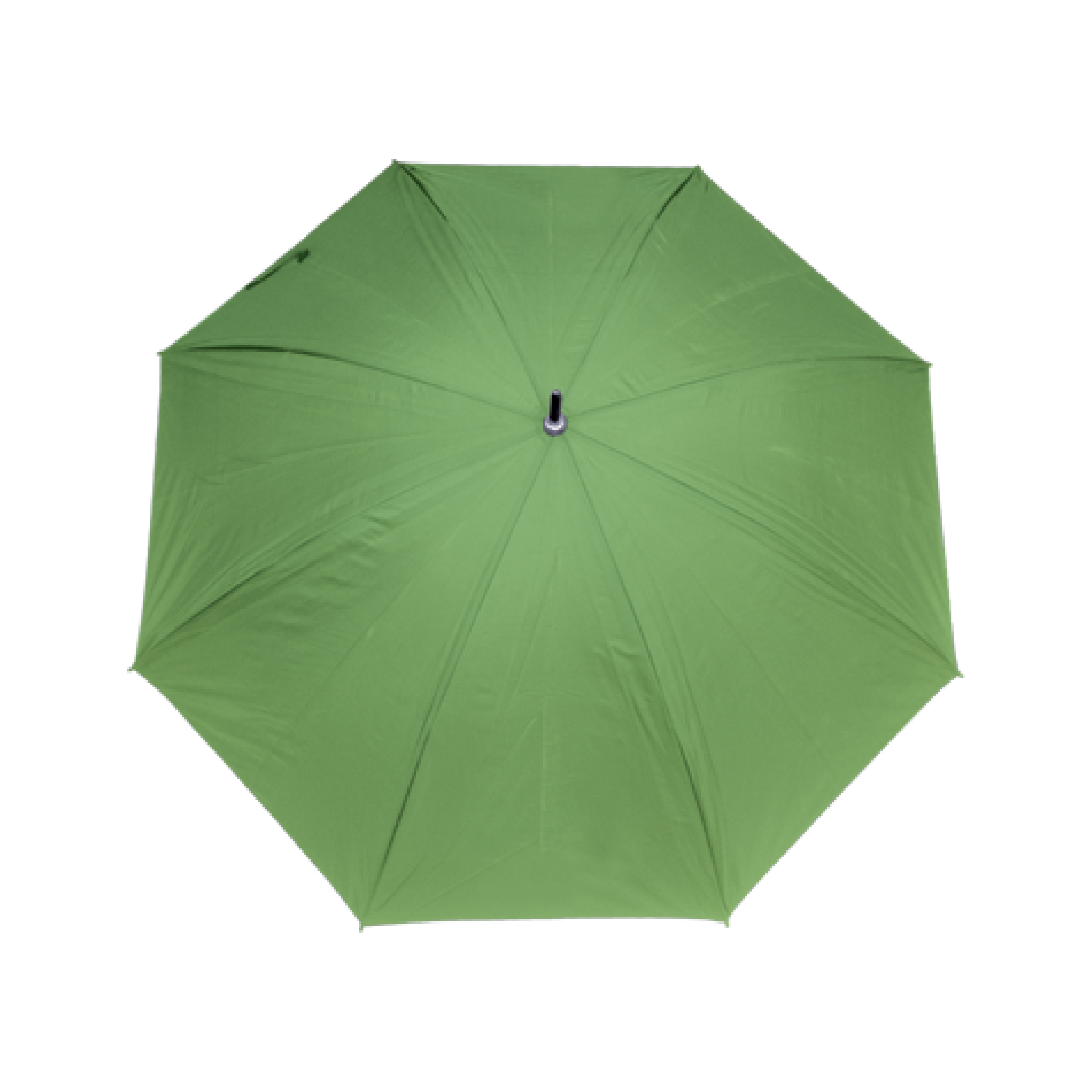 SC306-GREEN-01
